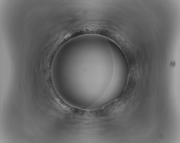 X0000091911009200709051414