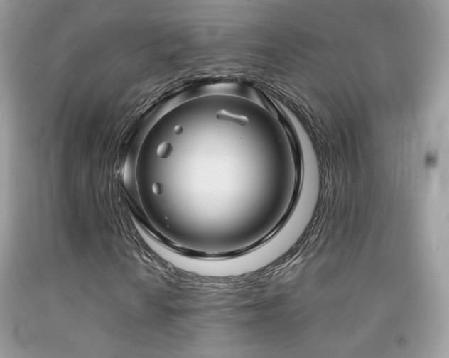 X0000091911010200709051414