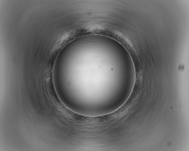 X0000091911012200709051414