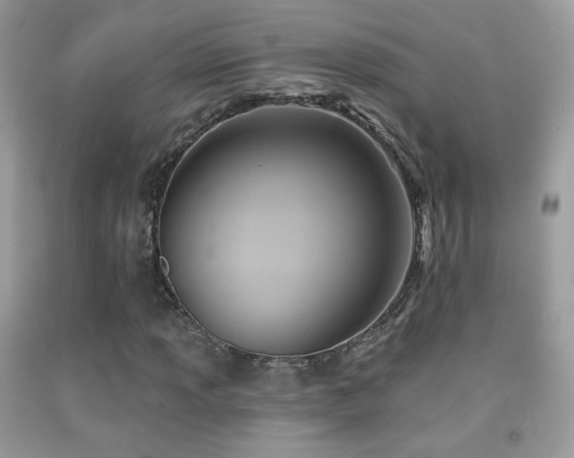 X0000091911013200709051414