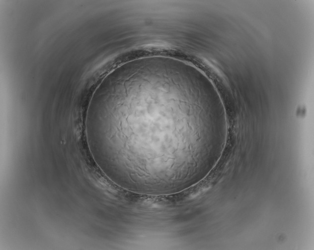 X0000091911015200709051414