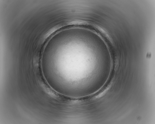 X0000091911017200709051414