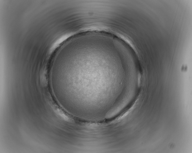 X0000091911018200709051414