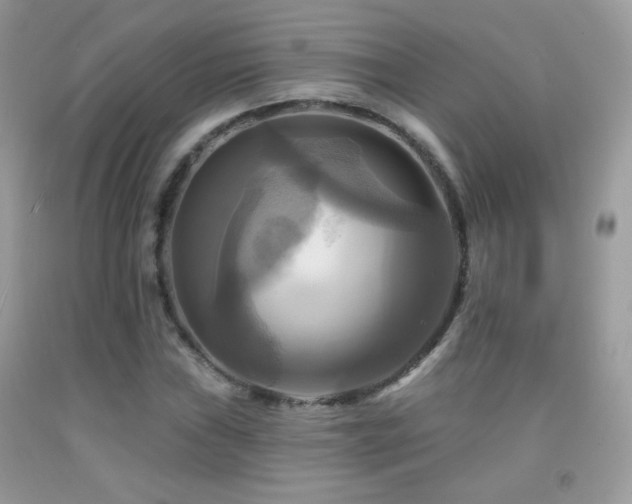 X0000091911019200709051414
