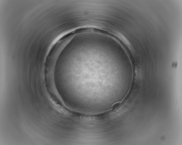 X0000091911020200709051414