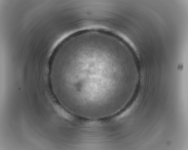 X0000091911021200709051414