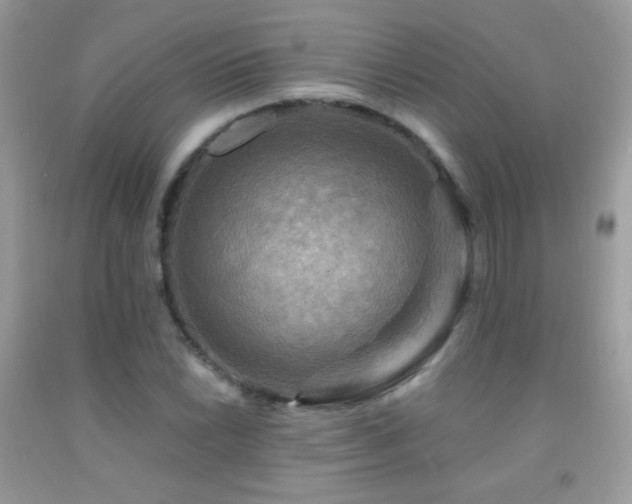 X0000091911022200709051414