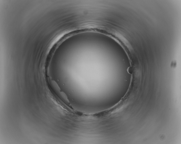 X0000091911023200709051414