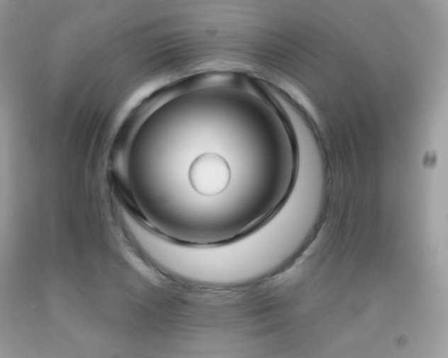 X0000091911026200709051414
