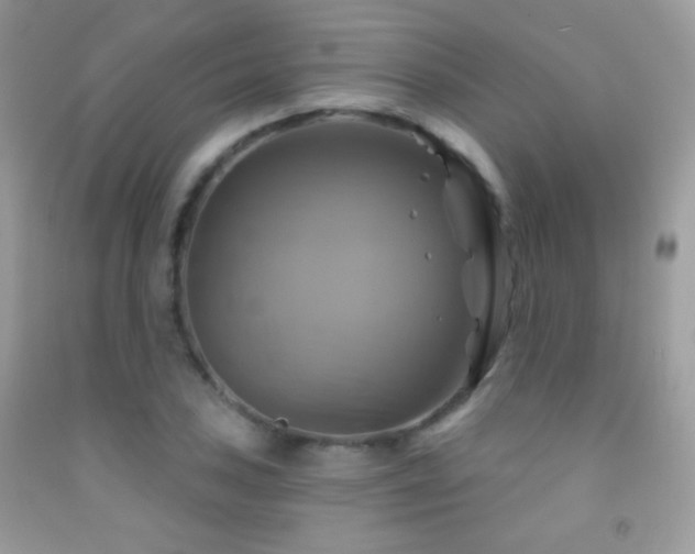 X0000091911027200709051414