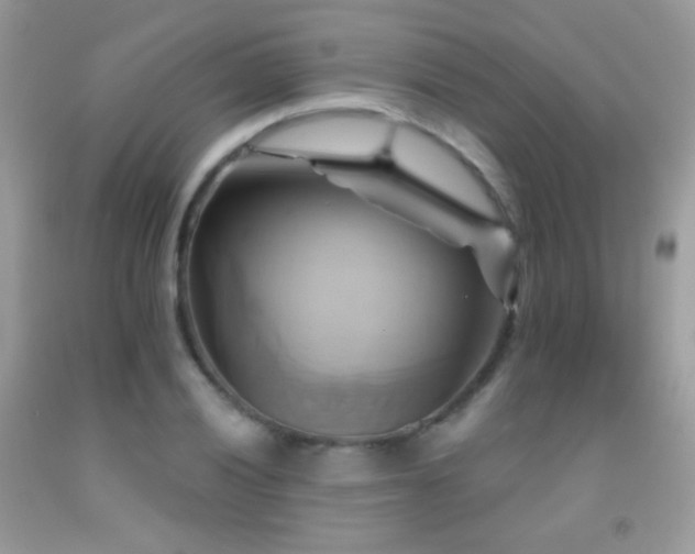 X0000091911028200709051414