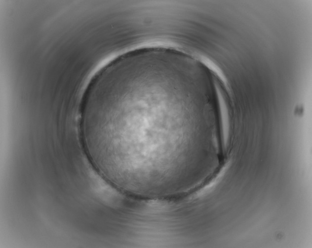 X0000091911029200709051414