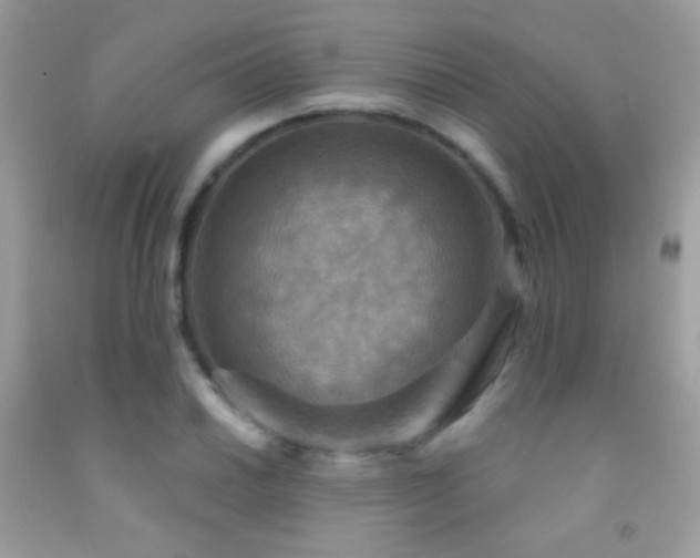 X0000091911030200709051414