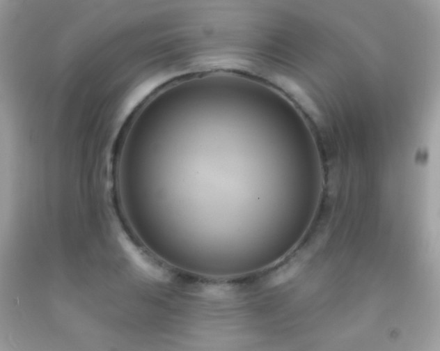 X0000091911031200709051414