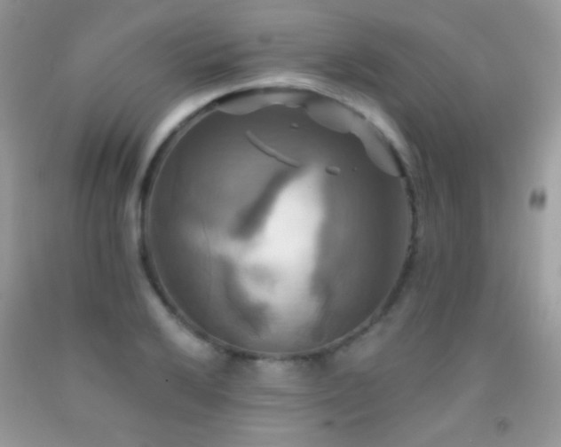X0000091911032200709051414