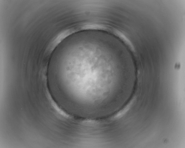 X0000091911033200709051414