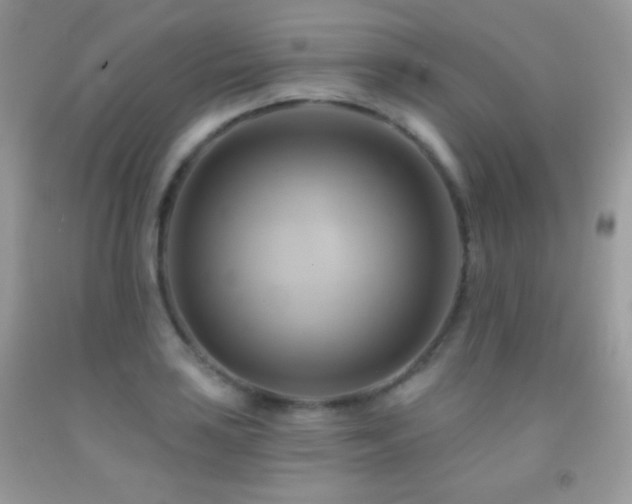 X0000091911035200709051414