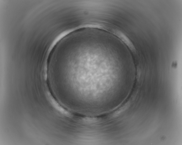 X0000091911036200709051414