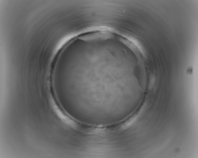 X0000091911038200709051414