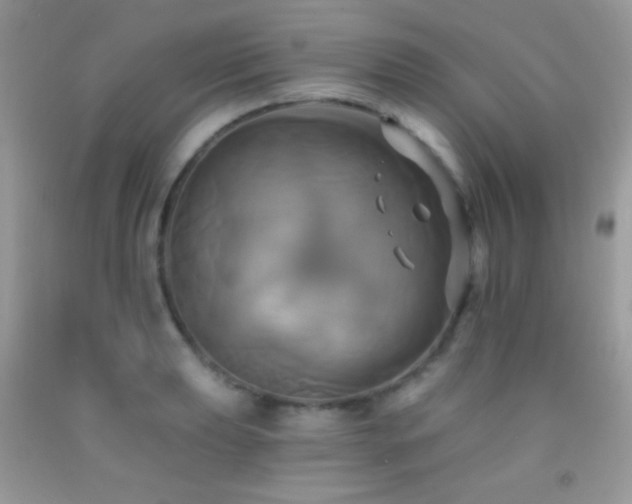 X0000091911039200709051414
