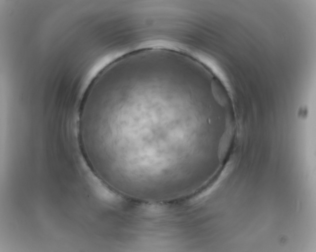 X0000091911040200709051414