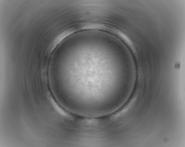 X0000091911041200709051414
