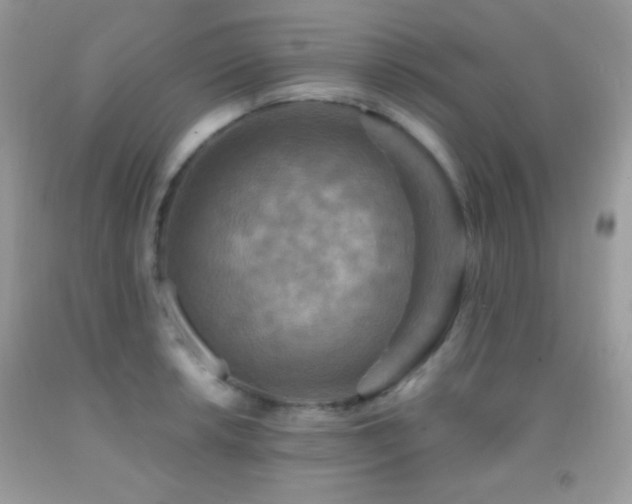 X0000091911042200709051414