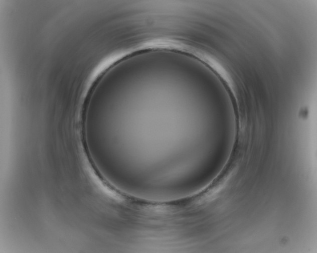 X0000091911045200709051414