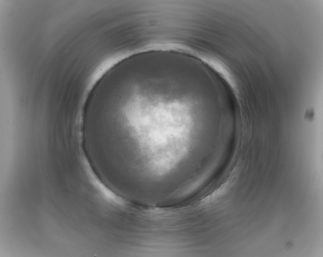X0000091911046200709051414