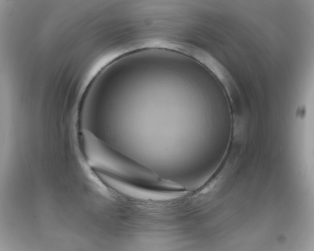 X0000091911048200709051414