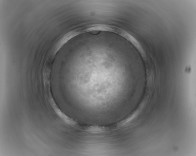 X0000091911049200709051414