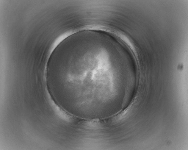 X0000091911050200709051414
