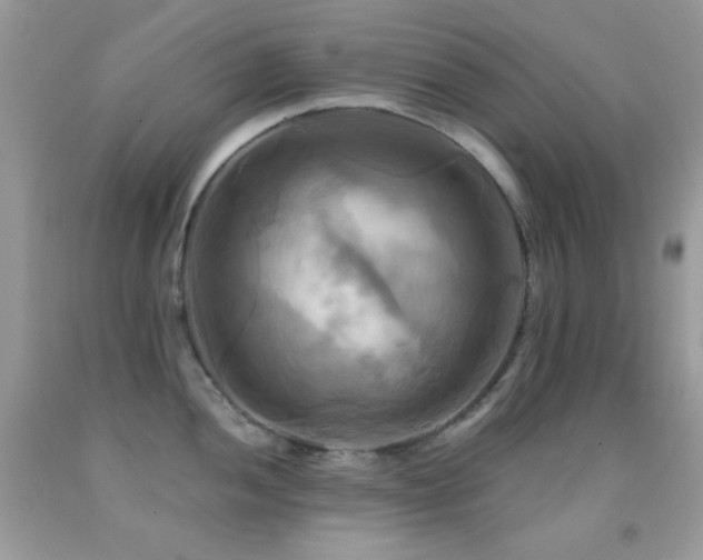 X0000091911052200709051414
