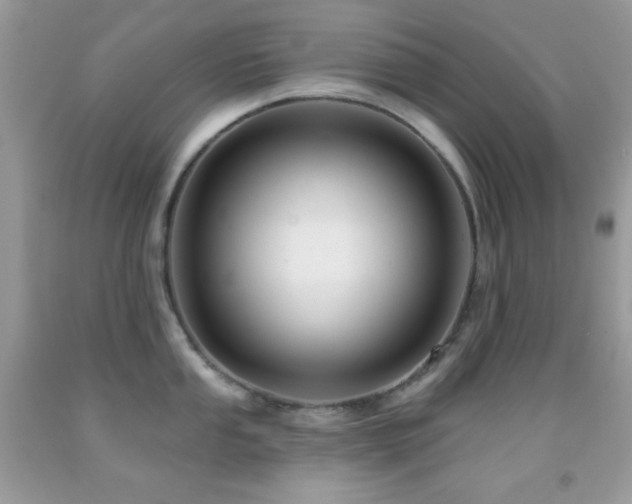 X0000091911053200709051414
