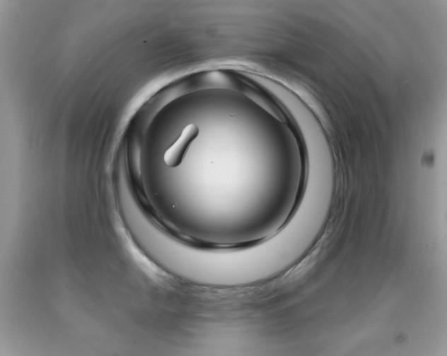 X0000091911054200709051414