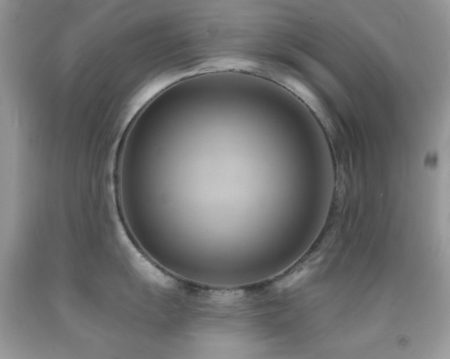 X0000091911055200709051414