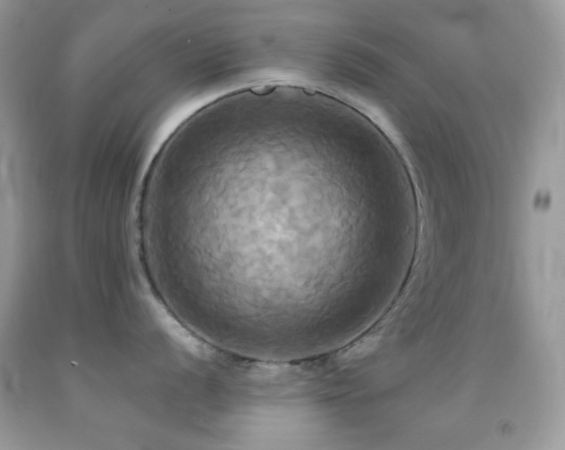 X0000091911056200709051414