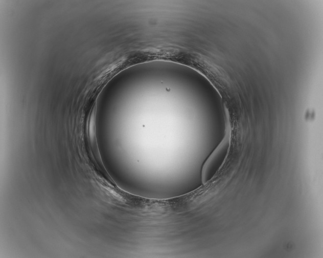 X0000091911058200709051414