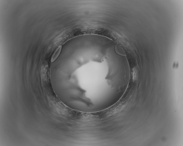 X0000091911059200709051414