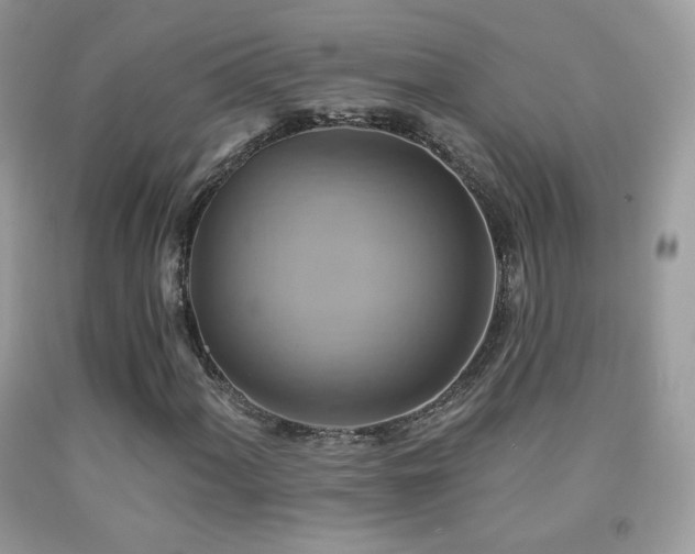 X0000091911060200709051414