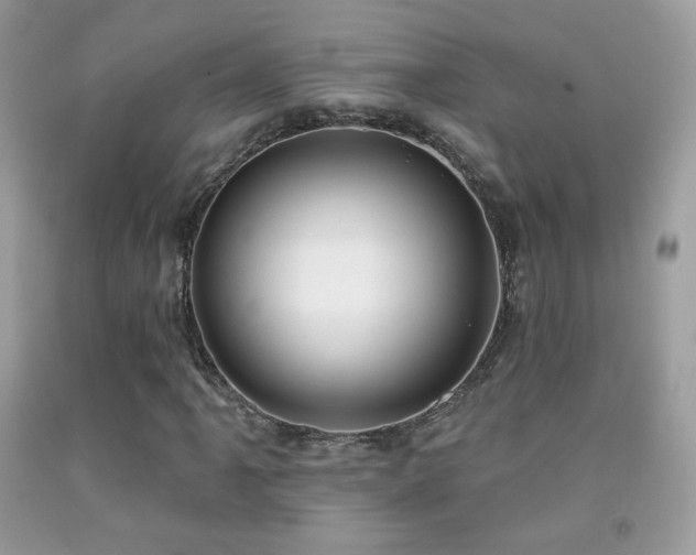 X0000091911061200709051414