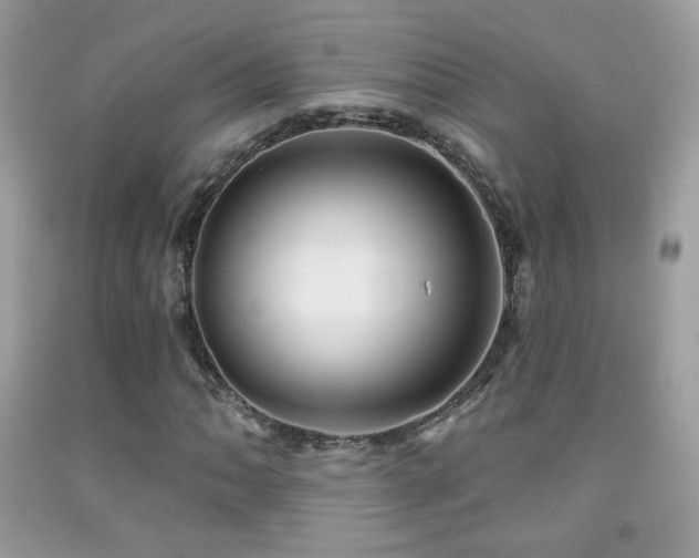 X0000091911062200709051414