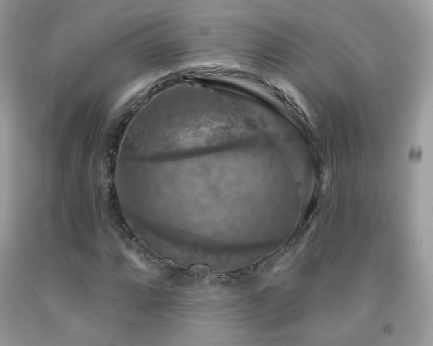 X0000091911064200709051414