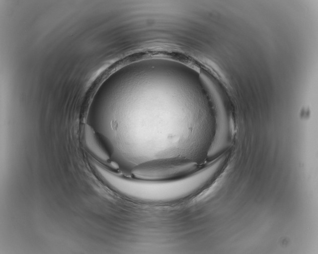 X0000091911065200709051414