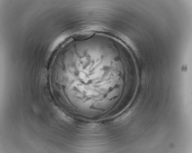X0000091911067200709051414