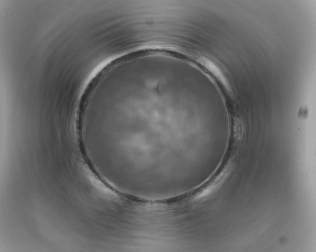 X0000091911068200709051414