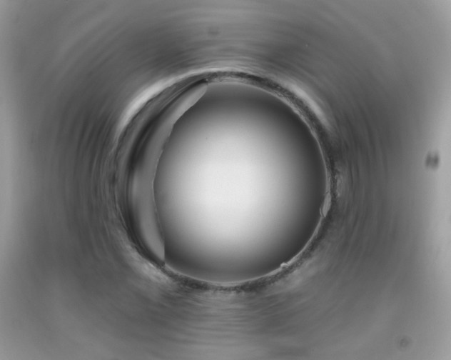 X0000091911069200709051413