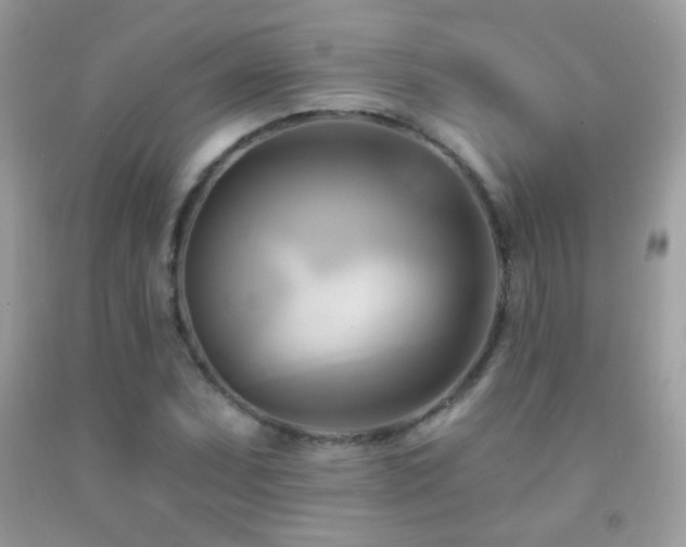 X0000091911071200709051413