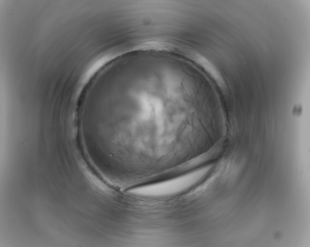 X0000091911075200709051413