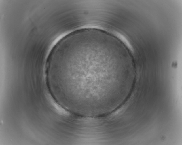 X0000091911076200709051413